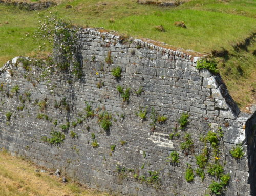 (Français) Appel à projets pour une résidence d’architecture et de paysage à Charlemont