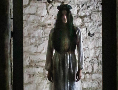 (Français) Halloween 2023 : cherche figurants