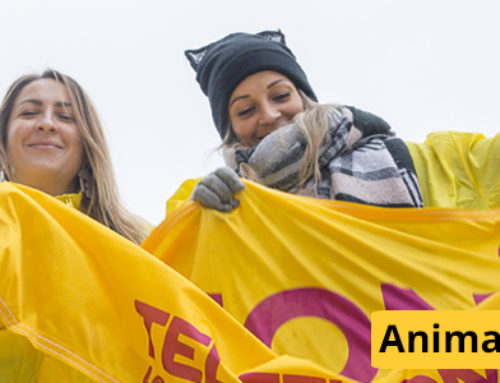 (Français) 16 septembre – Marche au profit du Téléthon
